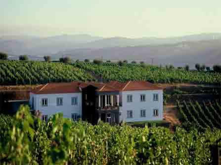 The Manor House Celeiros Hotel Sabrosa